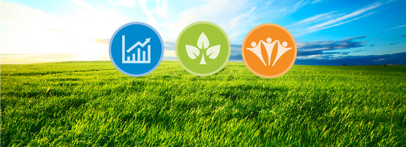 sustainable W